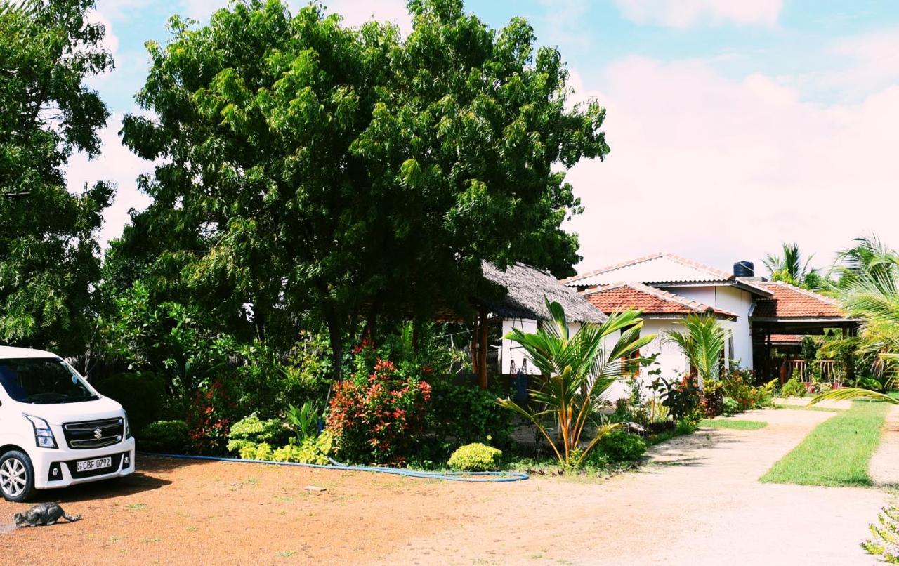 Prime Surfers Bungalow Arugam Bay Exterior photo