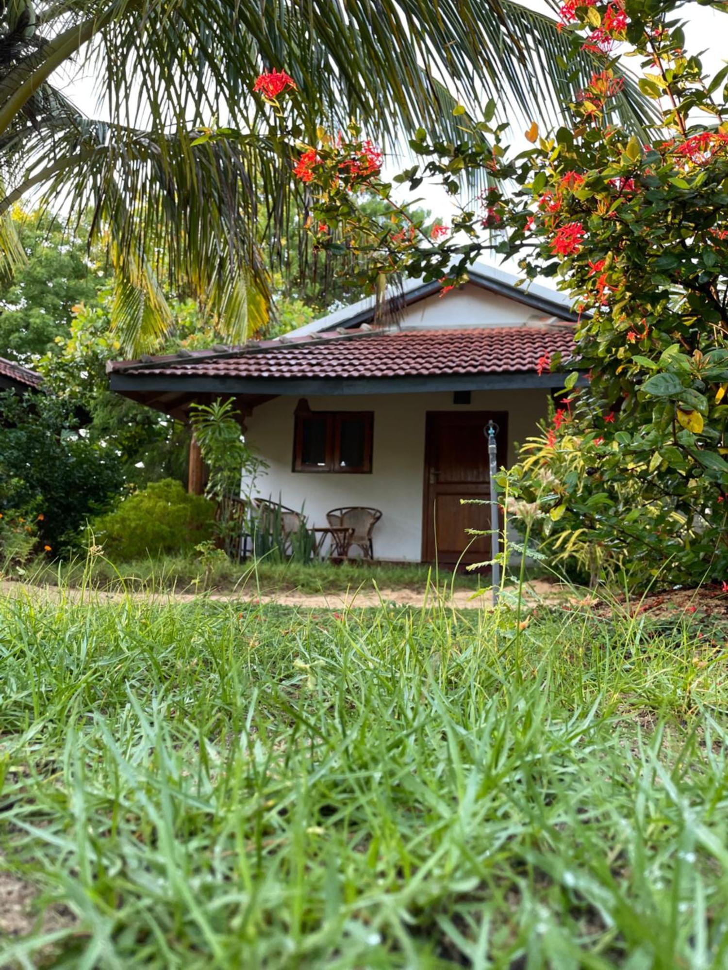 Prime Surfers Bungalow Arugam Bay Exterior photo